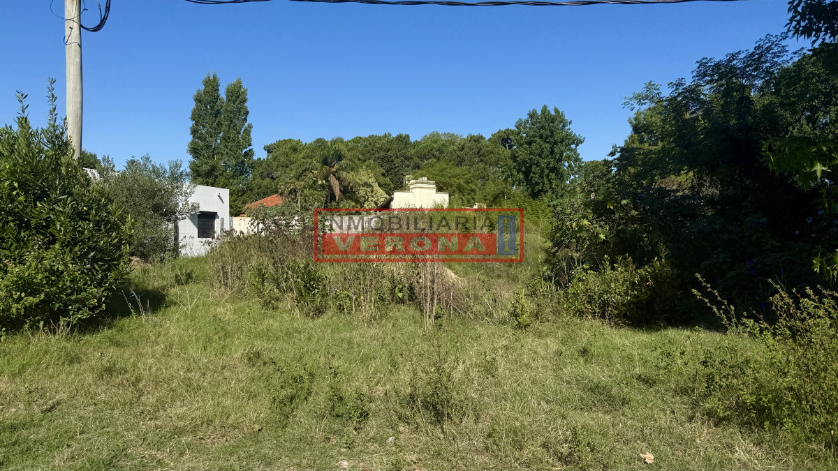 Propiedad - GoPunta - Portal Inmobiliario de Punta del Este - Maldonado