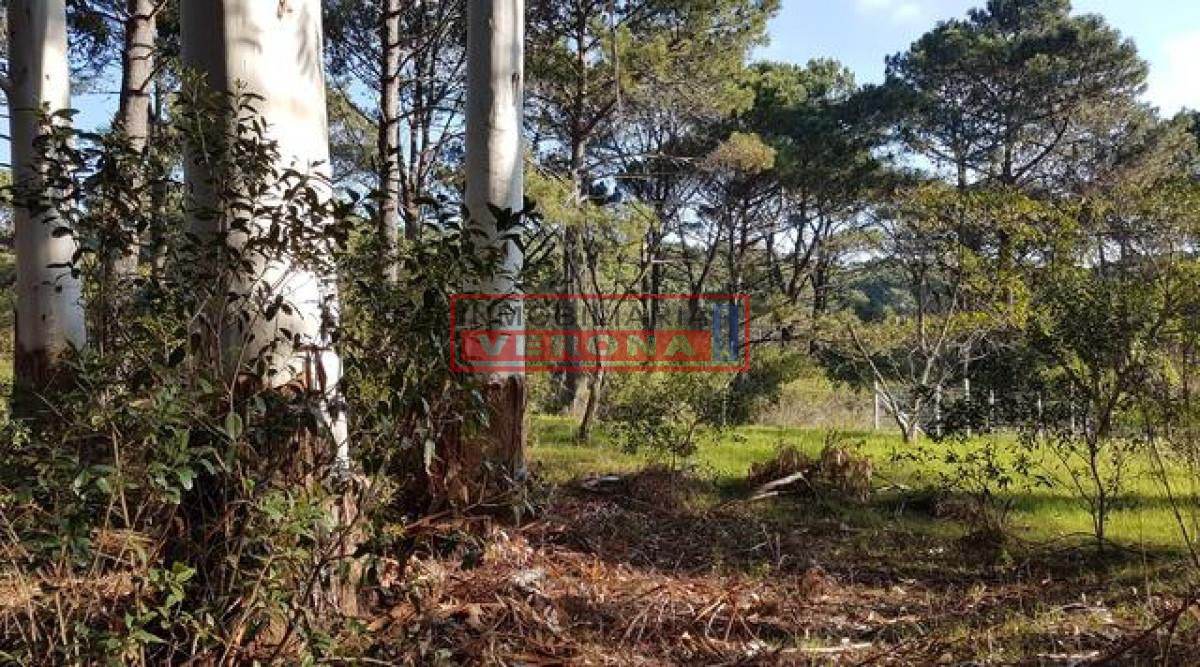 Club del Lago - GoPunta - Portal Inmobiliario de Punta del Este - Maldonado