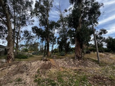 Terreno en MARLY - Entorno Residencial
