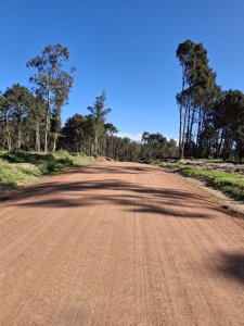 LOTE EN PINARES - Parque Burnett