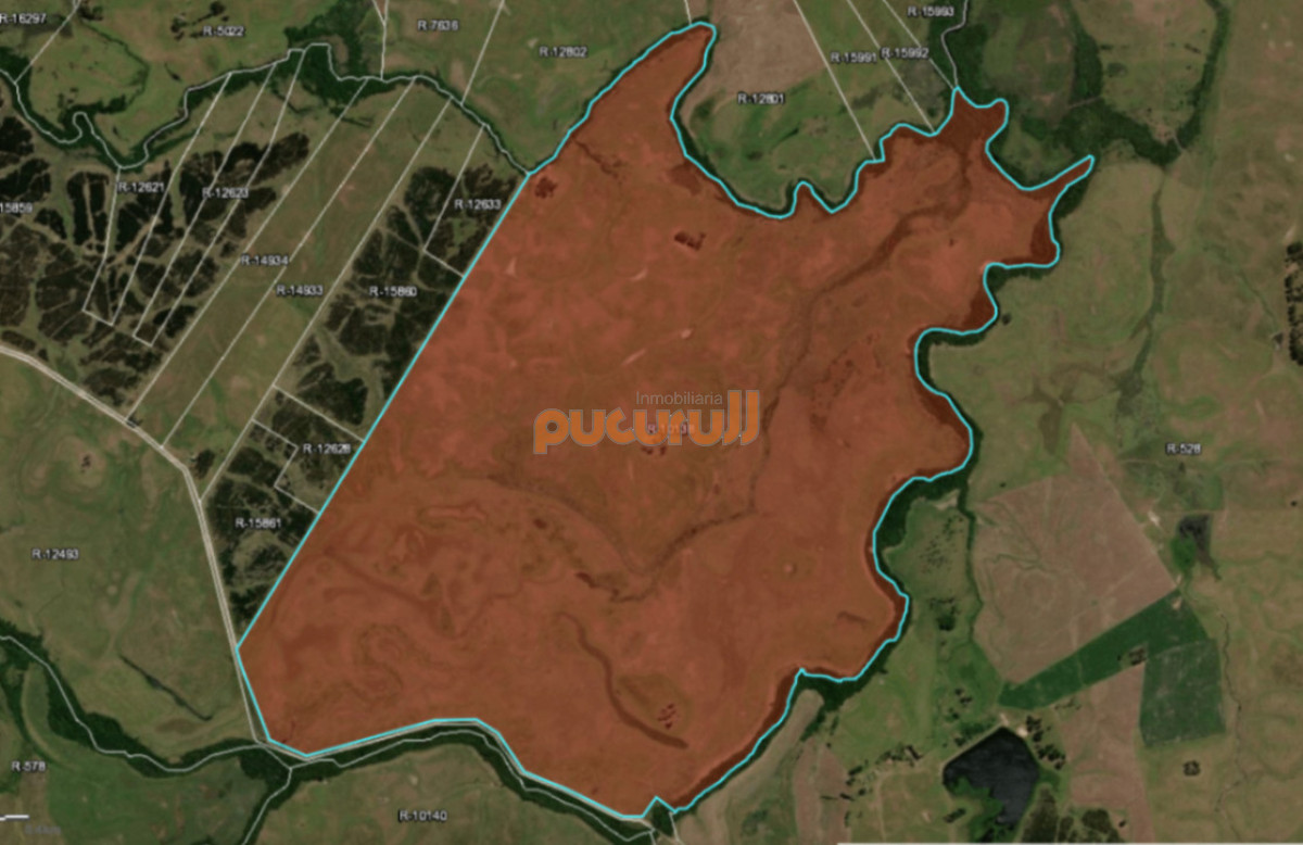 Chacra ID.2809 - Campo en venta de 600ha ubicado en Cerro Batovi