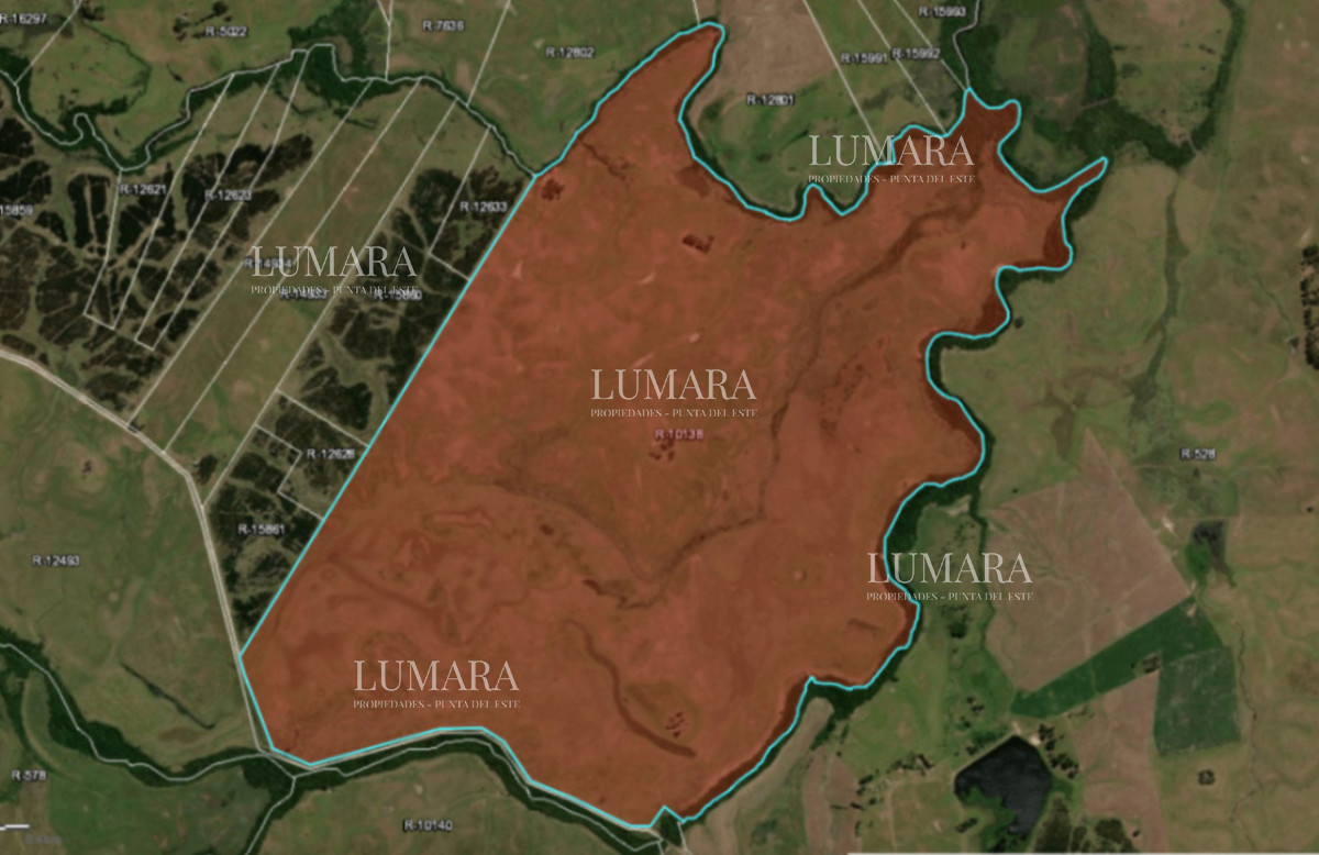 Chacra ID.3758 - Campo en venta de 600ha ubicado en Cerro Batovi