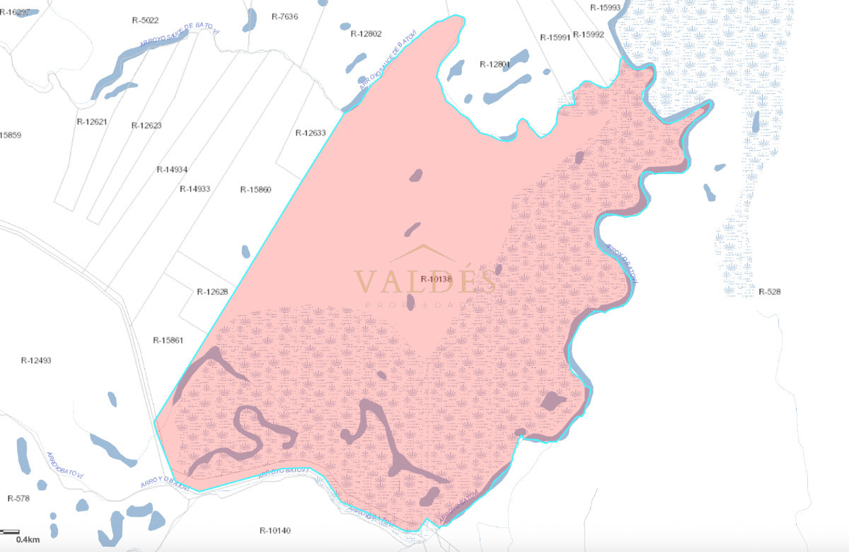Chacra ID.5353 - Campo en venta de 600ha ubicado en Cerro Batovi