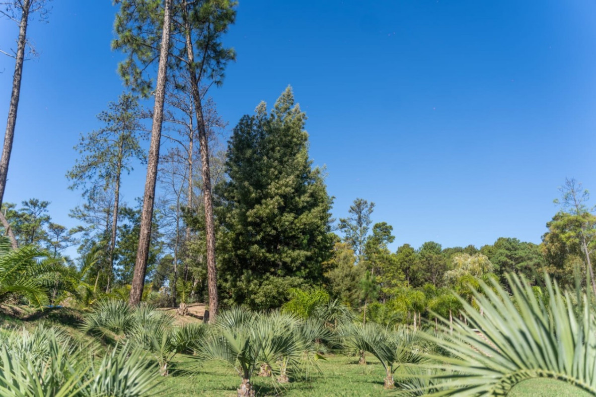 Apartamento ID.45298 - Apartamento en venta de 3 dormitorios y cochera en Haras del lago