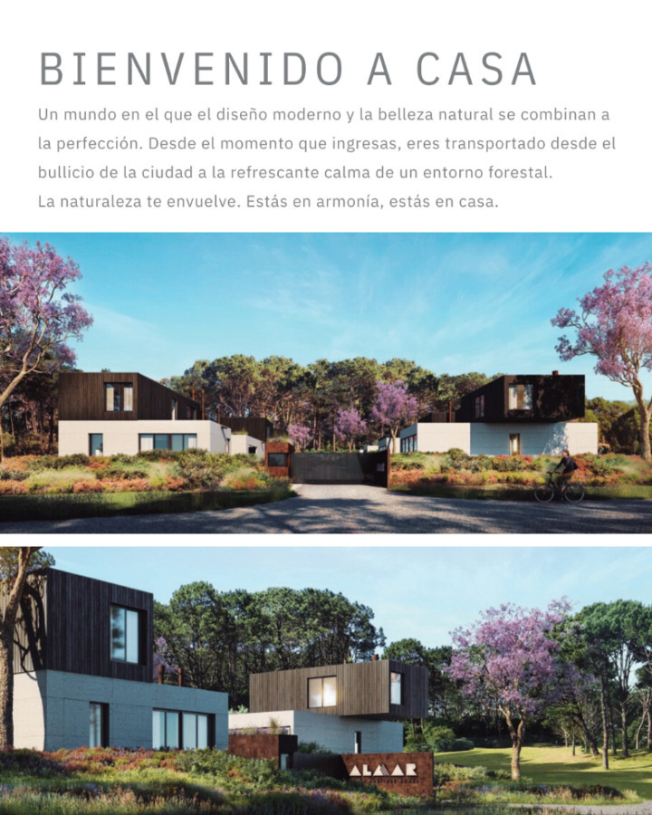 Casa ID.44115 - Casa en alquiler y venta en Punta Ballena