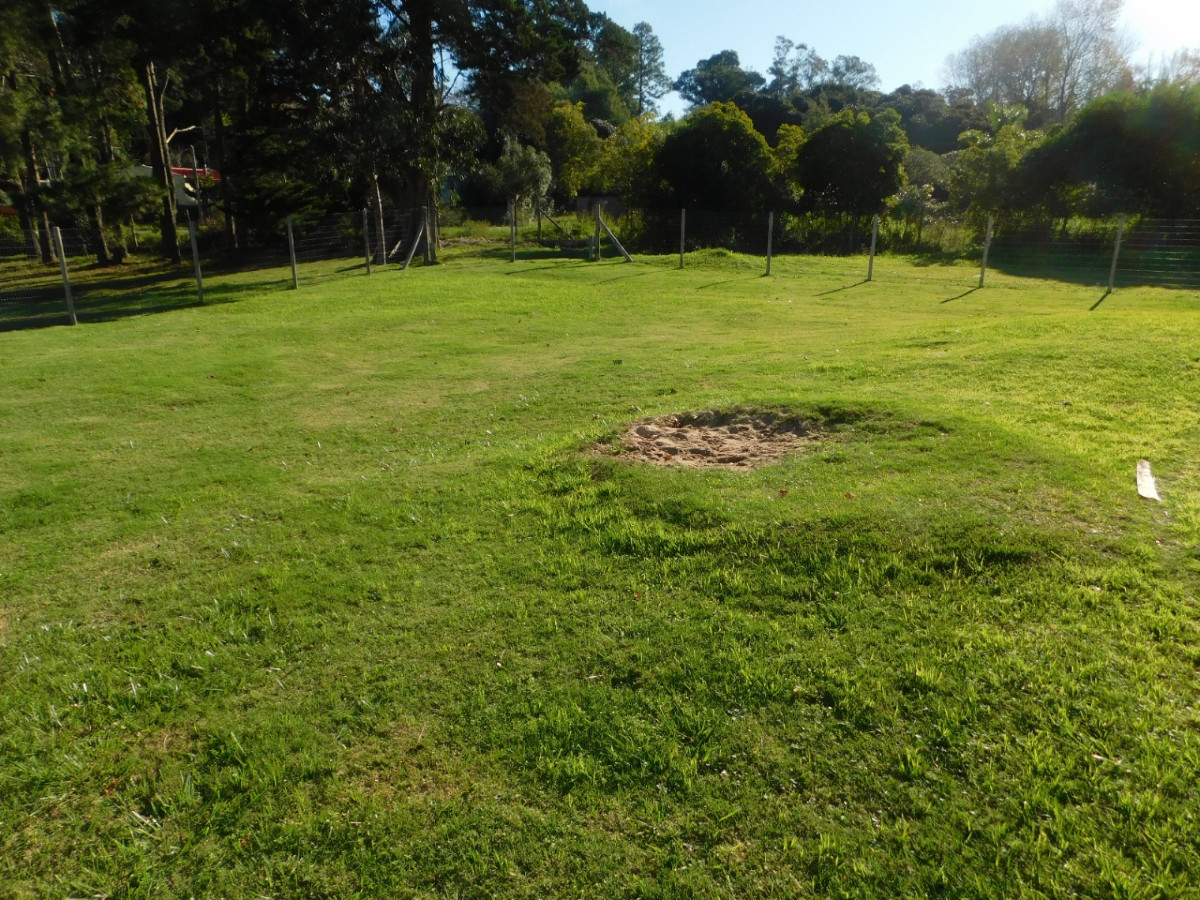 Casa ID.61844 - Casa en venta de 4 dormitorios c/ cochera en P. Ballena