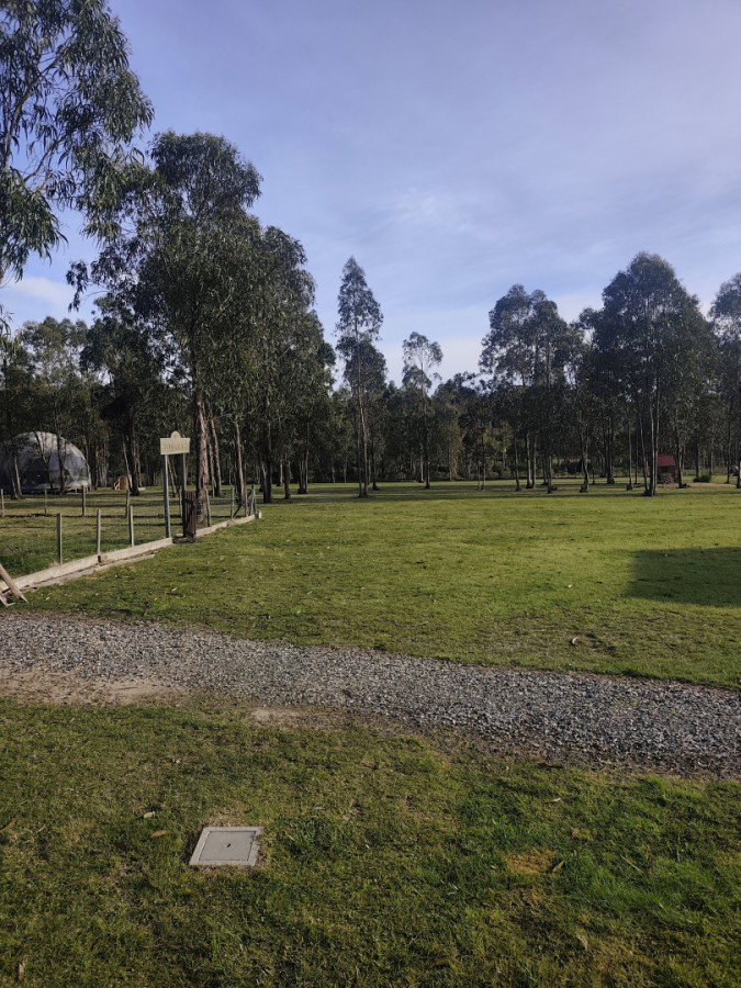 Chacra ID.85532 - Chacra en venta de 3h ubicada en Atlántida