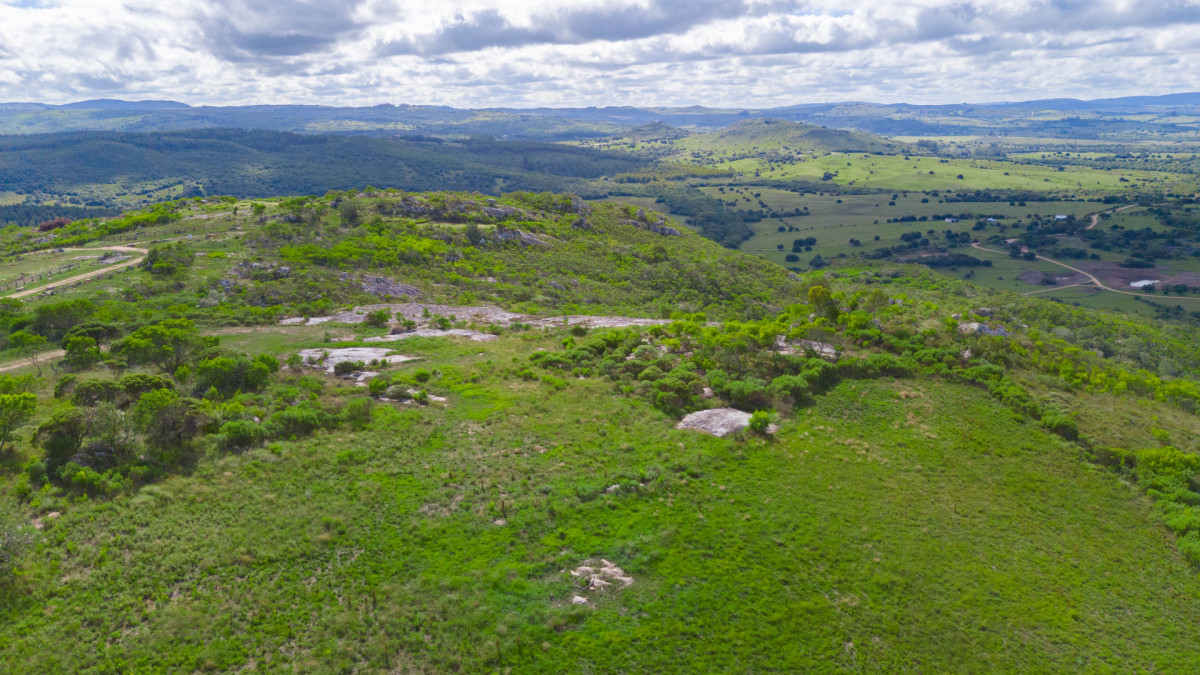 Chacra ID.85439 - Chacra de 5 has en Pueblo Eden