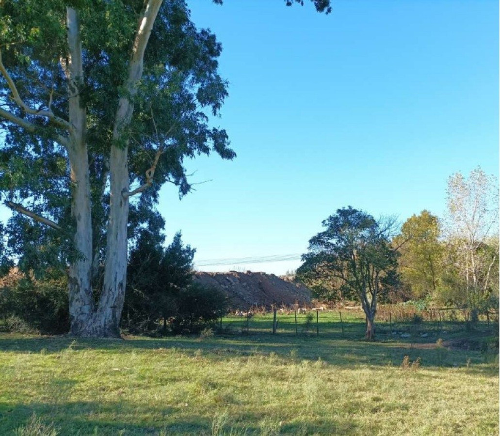 Chacra ID.66223 - Chacra Punta de Rieles