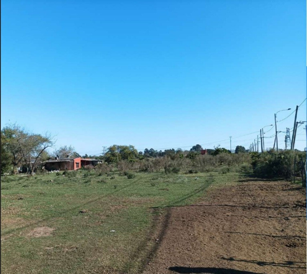 Chacra ID.66223 - Chacra Punta de Rieles