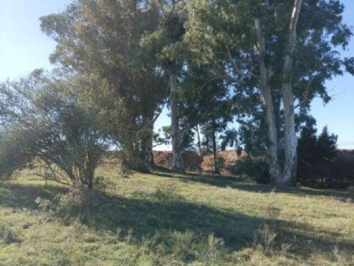 Chacra ID.66223 - Chacra Punta de Rieles