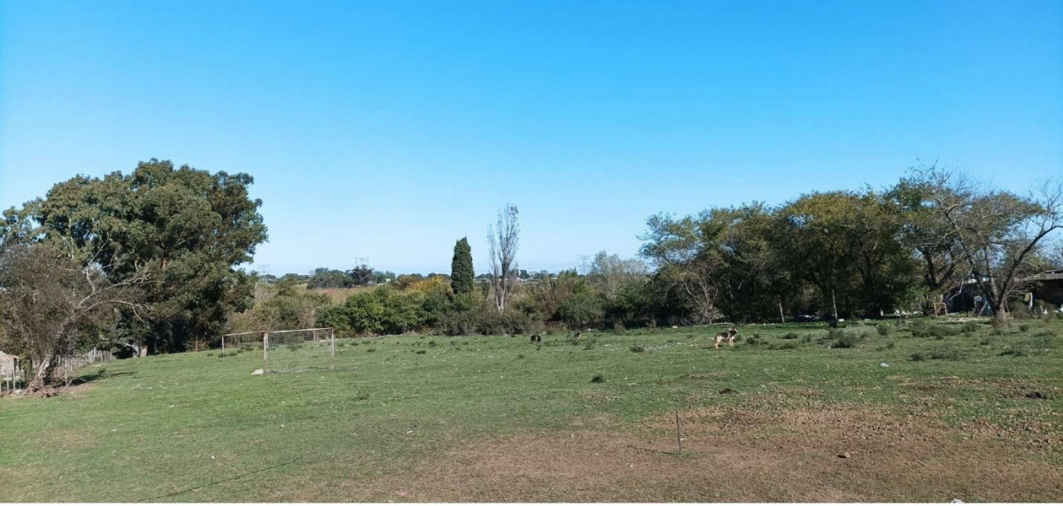 Chacra ID.66223 - Chacra Punta de Rieles