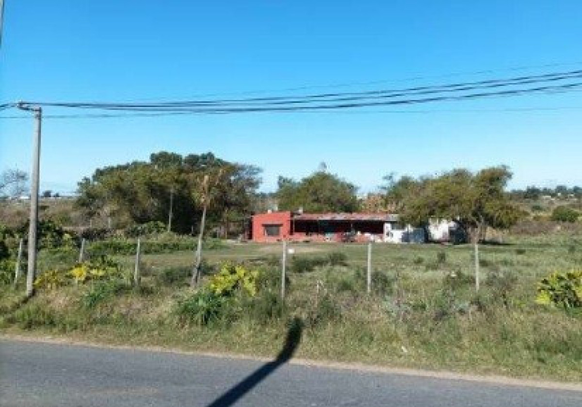 Chacra ID.66223 - Chacra Punta de Rieles