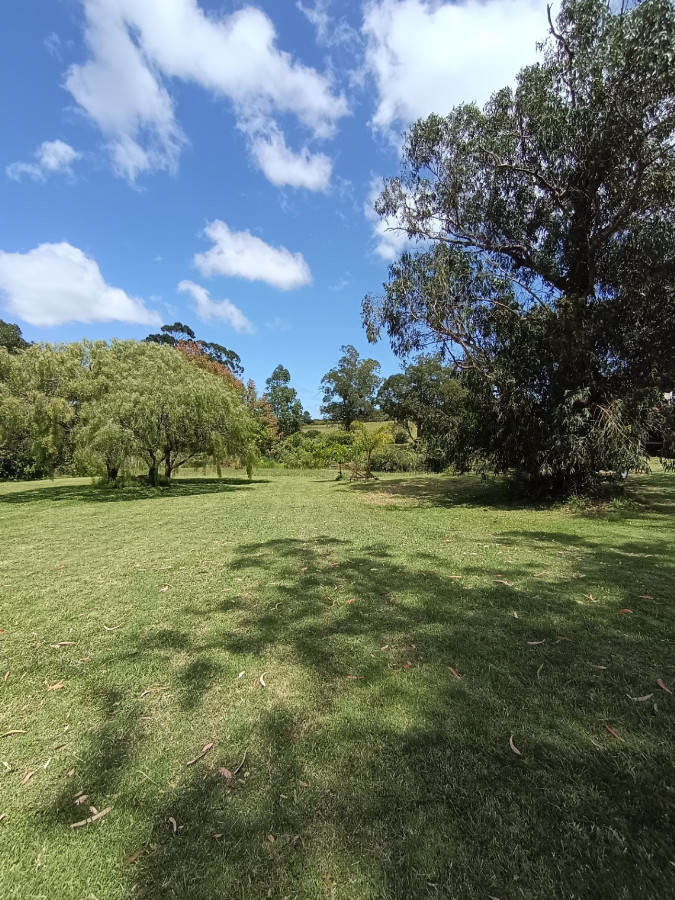 Chacra ID.78146 - Espectacular chacra en venta de 3 hectáreas, sobre ruta 73 en Piriápolis.