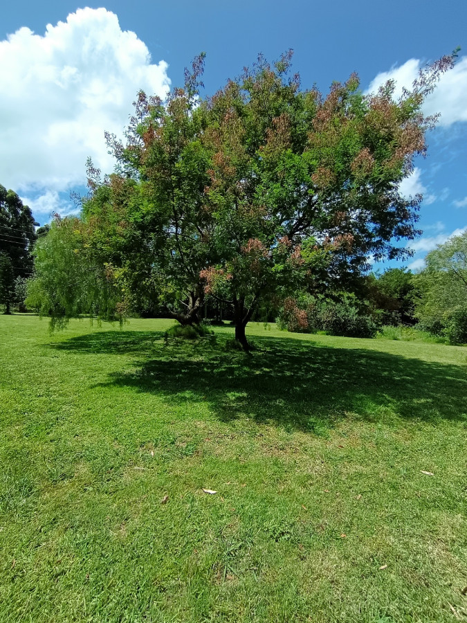 Chacra ID.78146 - Espectacular chacra en venta de 3 hectáreas, sobre ruta 73 en Piriápolis.