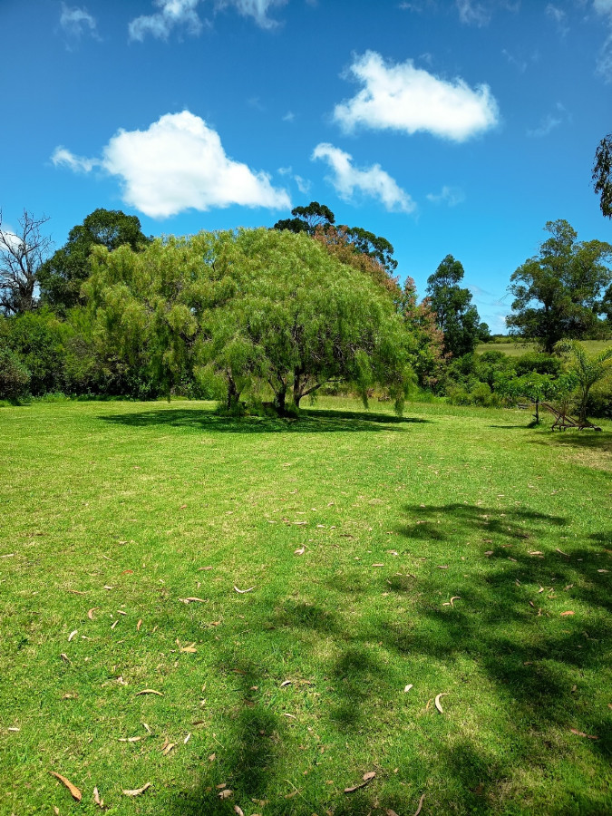 Chacra ID.78146 - Espectacular chacra en venta de 3 hectáreas, sobre ruta 73 en Piriápolis.