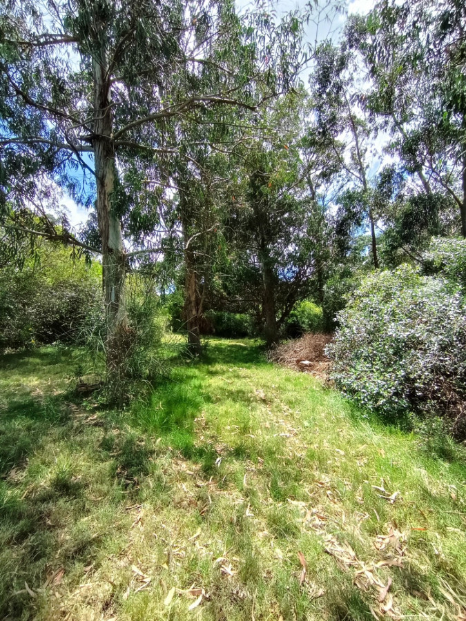 Chacra ID.78146 - Espectacular chacra en venta de 3 hectáreas, sobre ruta 73 en Piriápolis.