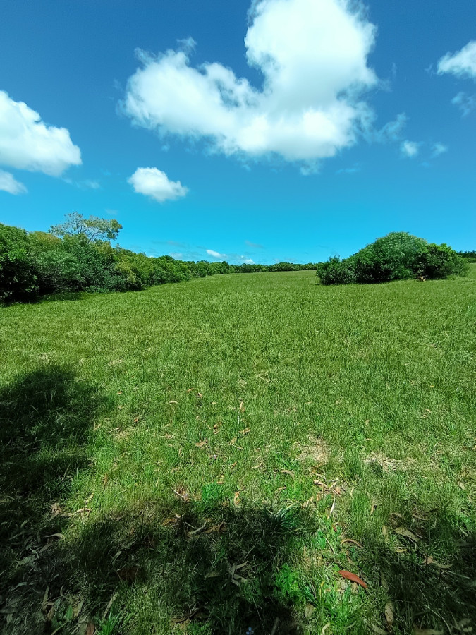 Chacra ID.78146 - Espectacular chacra en venta de 3 hectáreas, sobre ruta 73 en Piriápolis.