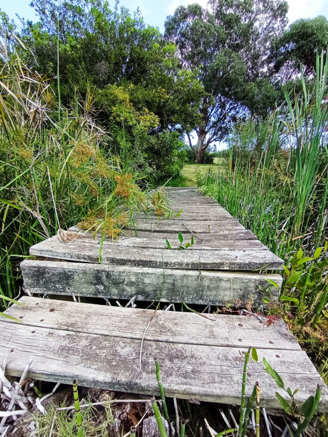 Chacra ID.78146 - Espectacular chacra en venta de 3 hectáreas, sobre ruta 73 en Piriápolis.