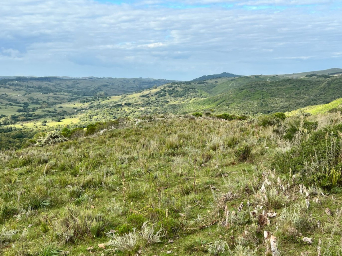 Chacra ID.81216 - Chacra en venta de 5ha ubicado en Minas