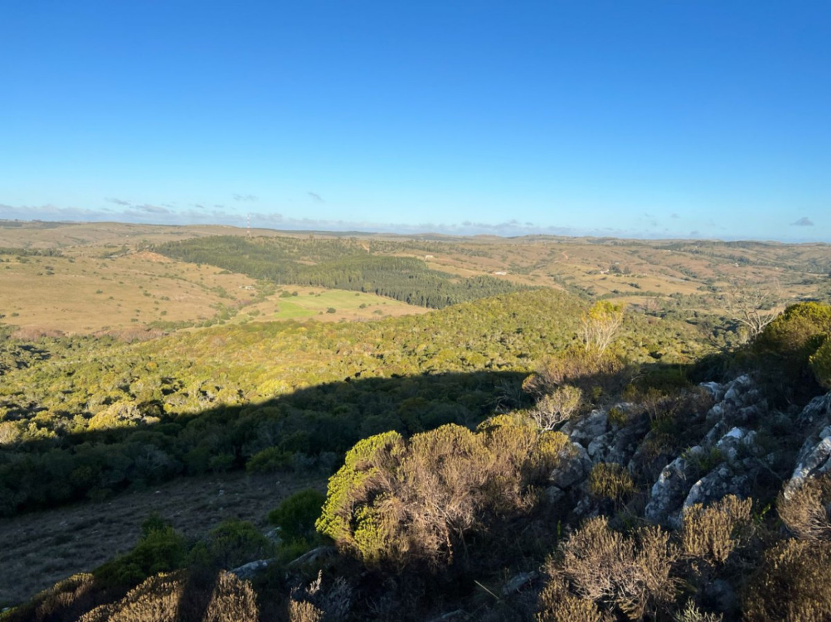 Chacra ID.81216 - Chacra en venta de 5ha ubicado en Minas