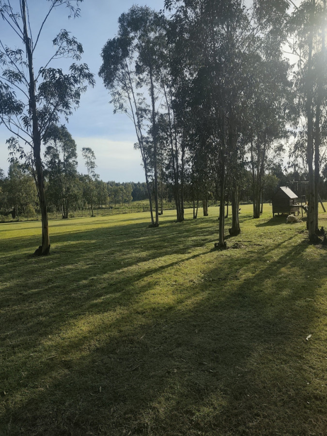 Chacra ID.85532 - Chacra en venta de 3h ubicada en Atlántida