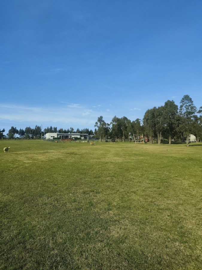 Chacra ID.85532 - Chacra en venta de 3h ubicada en Atlántida