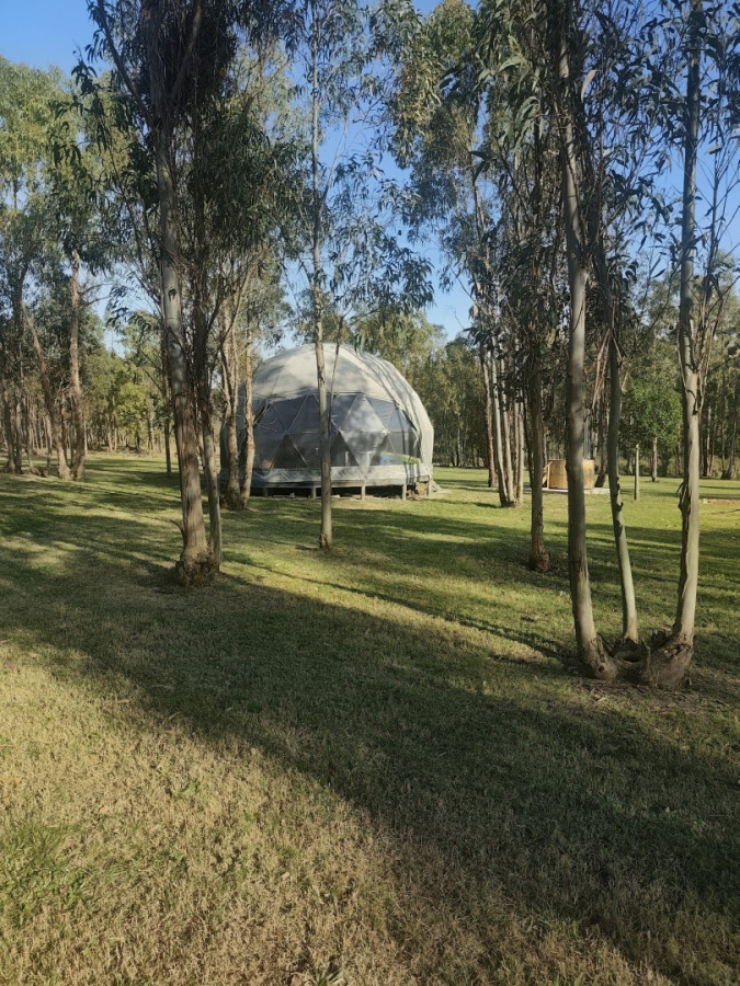 Chacra ID.85532 - Chacra en venta de 3h ubicada en Atlántida
