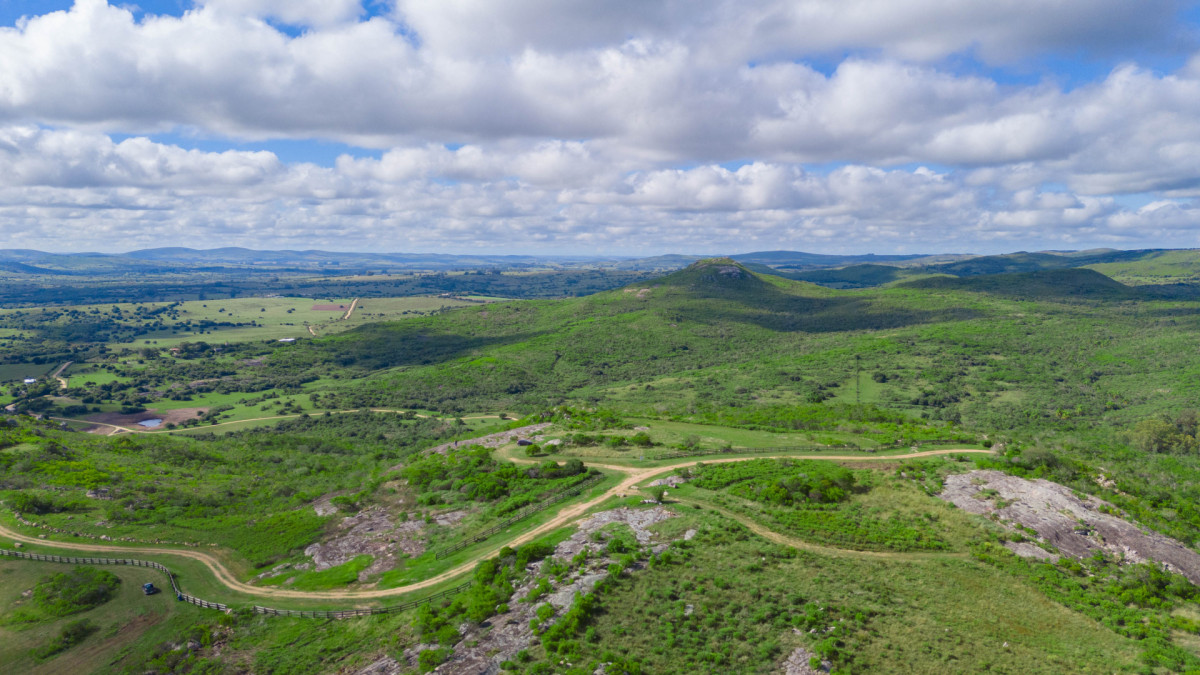 Chacra ID.85439 - Chacra de 5 has en Pueblo Eden