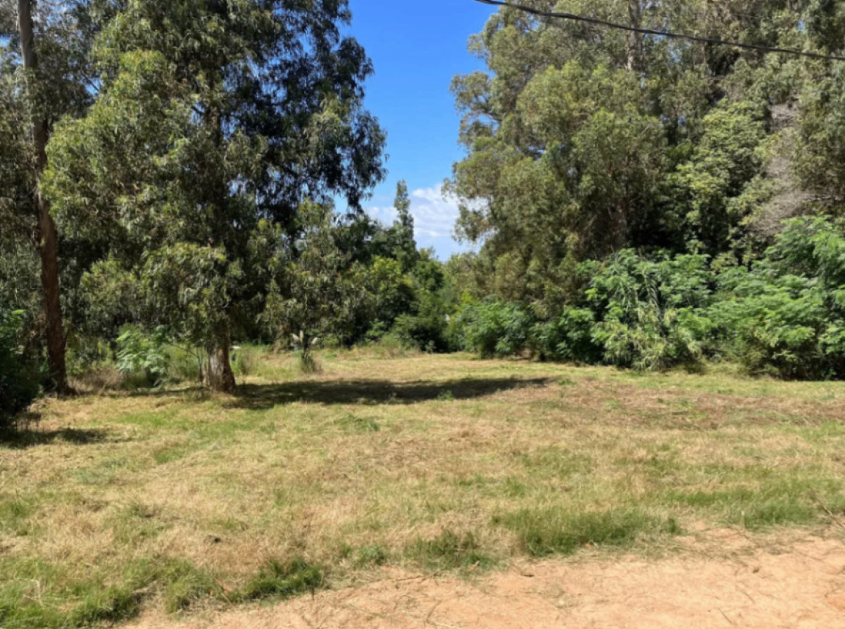 Terreno ID.40039 - Oportunidad Terreno en venta de 800m2 ubicado en Punta Ballena.