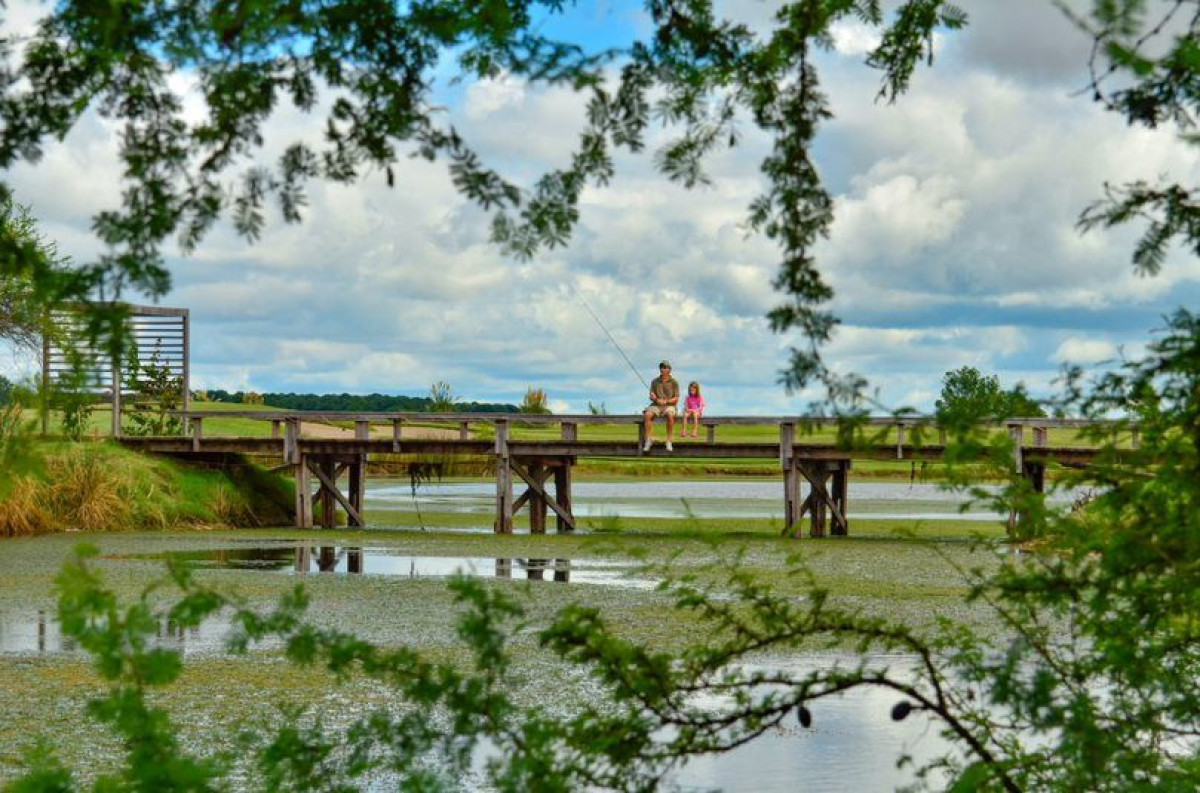 Terreno ID.59007 - Terreno en venta de 2346m2 ubicado en Carmelo