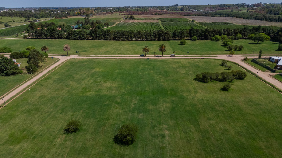 Terreno ID.82273 - Terreno en venta de 5000m2 ubicado en Canelones