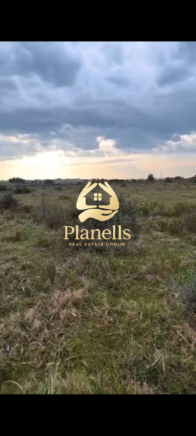 Chacra ID.3820 - Venta Chacra 5 ha en CaÃ±ada Bellaca