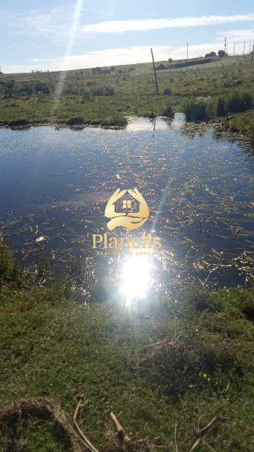 Chacra ID.2687 - Venta de Chacra 5Ha en Abra Perdomo