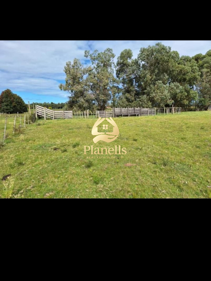 Chacra ID.2493 - Venta de Chacra de 8 Ha con casa 