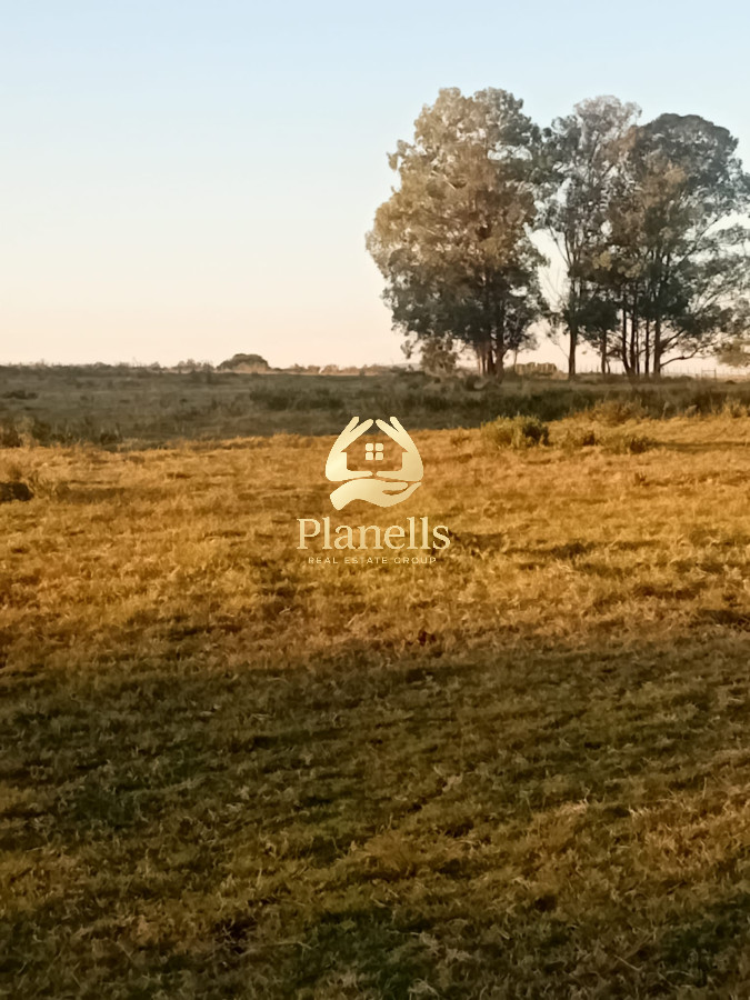 Chacra ID.2593 - Venta de Chacra de 7 Ha en Zanja de Chavez, Maldonado