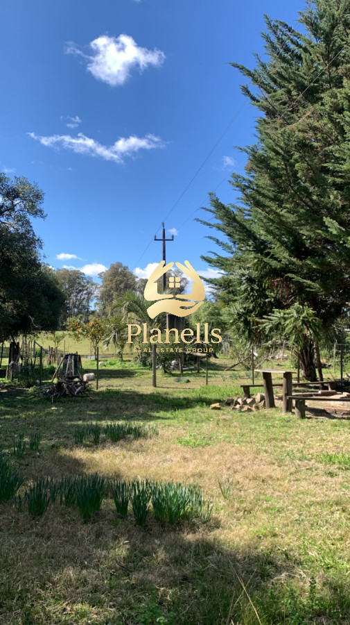 Chacra ID.4458 - VENTA CASA DE CAMPO RUTA 9 MUY CERCA DE CASTILLOS ROCHA