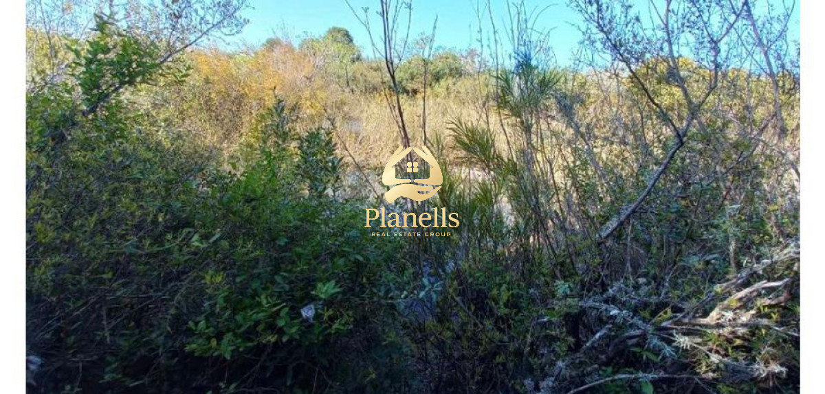 Chacra ID.2323 - Venta de Chacra en CaÃ±ada Bellacas