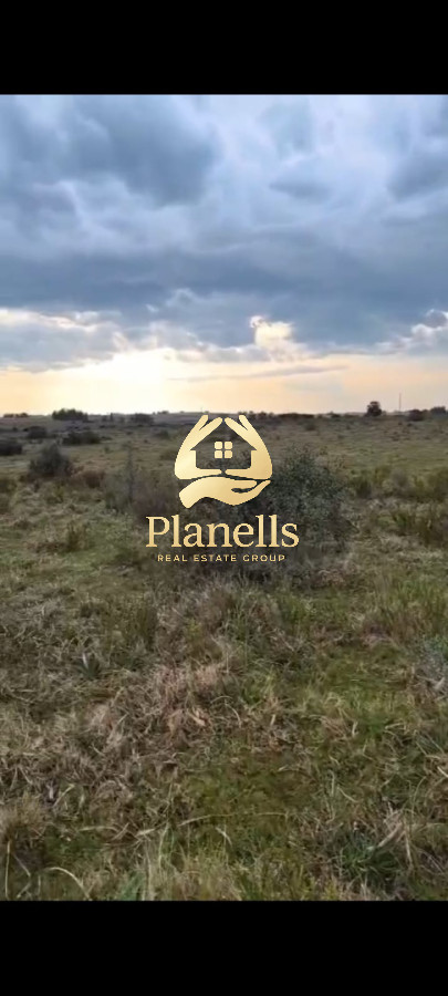 Chacra ID.3820 - Venta Chacra 5 ha en CaÃ±ada Bellaca