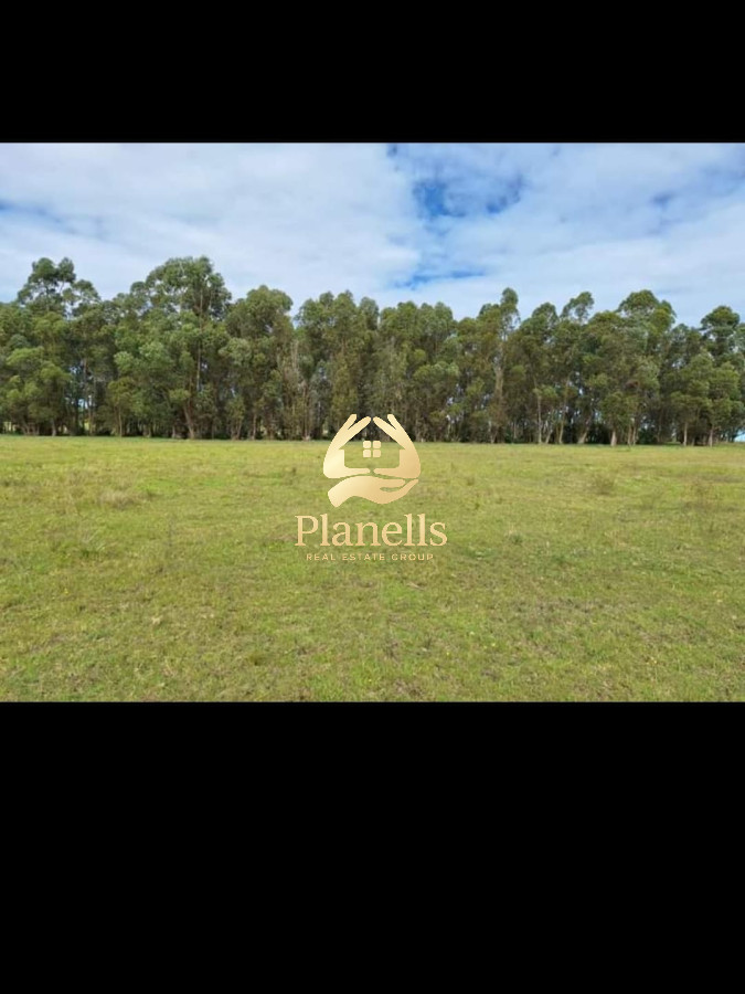 Chacra ID.2493 - Venta de Chacra de 8 Ha con casa 