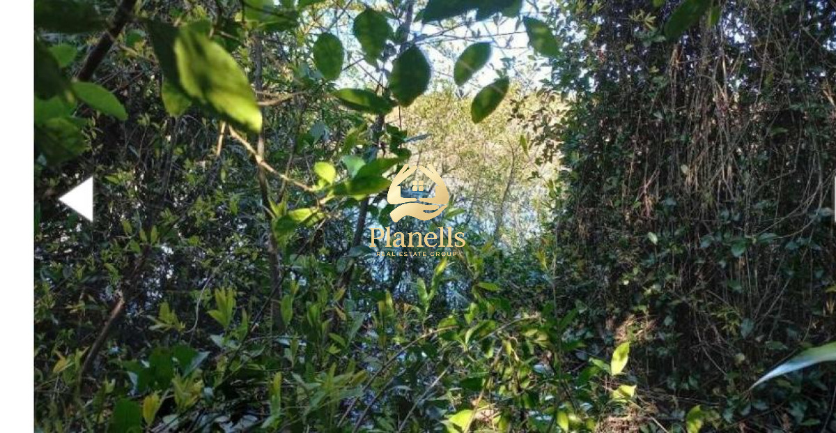 Chacra ID.2323 - Venta de Chacra en CaÃ±ada Bellacas