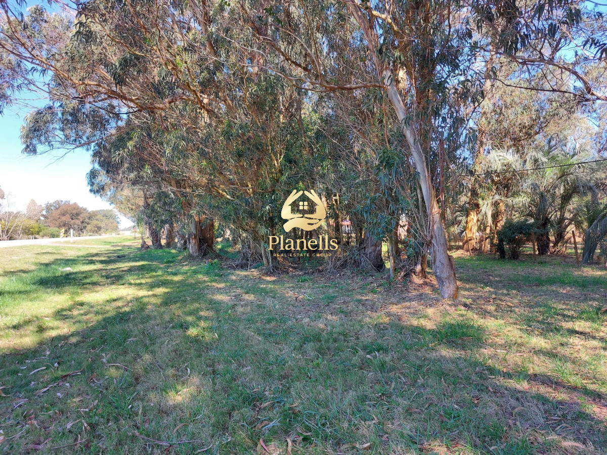 Chacra ID.2952 - VENDO O PERMUTO CHACRA EN LA PALOMA ROCHA