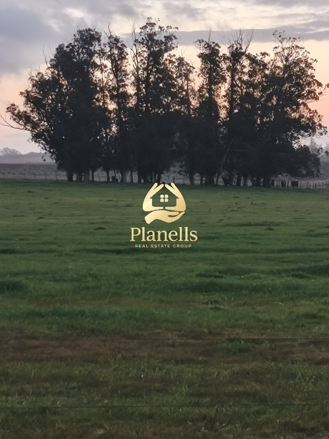 Chacra ID.3072 - Venta de Chacra de 5 Ha en Jose Ignacio