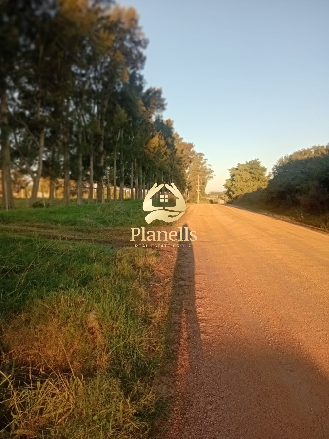 Chacra ID.2593 - Venta de Chacra de 7 Ha en Zanja de Chavez, Maldonado