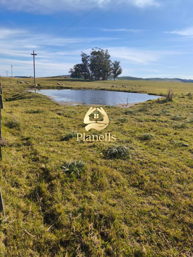 Chacra ID.2346 - Hermosa Chacra de 5 Ha en Zanja de Chavez a 15 km de San Carlos