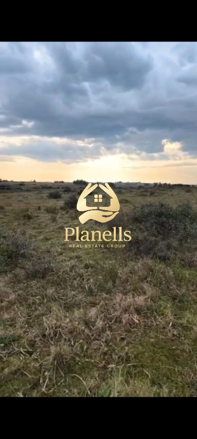 Chacra ID.3820 - Venta Chacra 5 ha en CaÃ±ada Bellaca