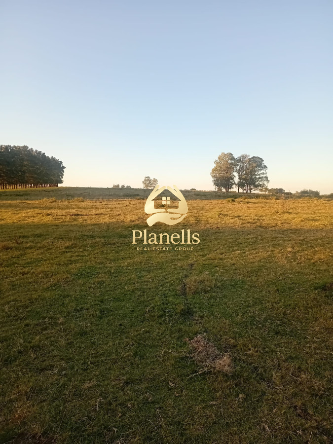 Chacra ID.2593 - Venta de Chacra de 7 Ha en Zanja de Chavez, Maldonado