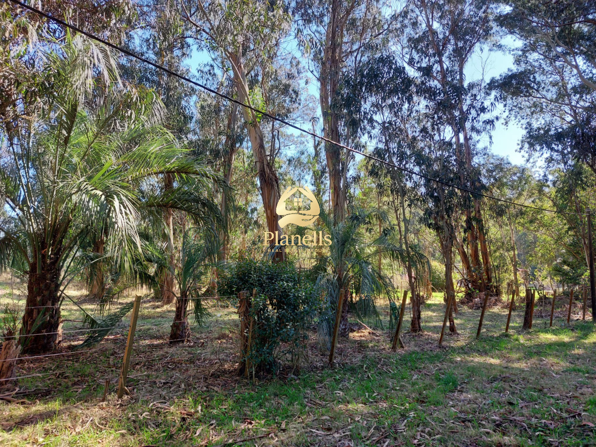 Chacra ID.2952 - VENDO O PERMUTO CHACRA EN LA PALOMA ROCHA