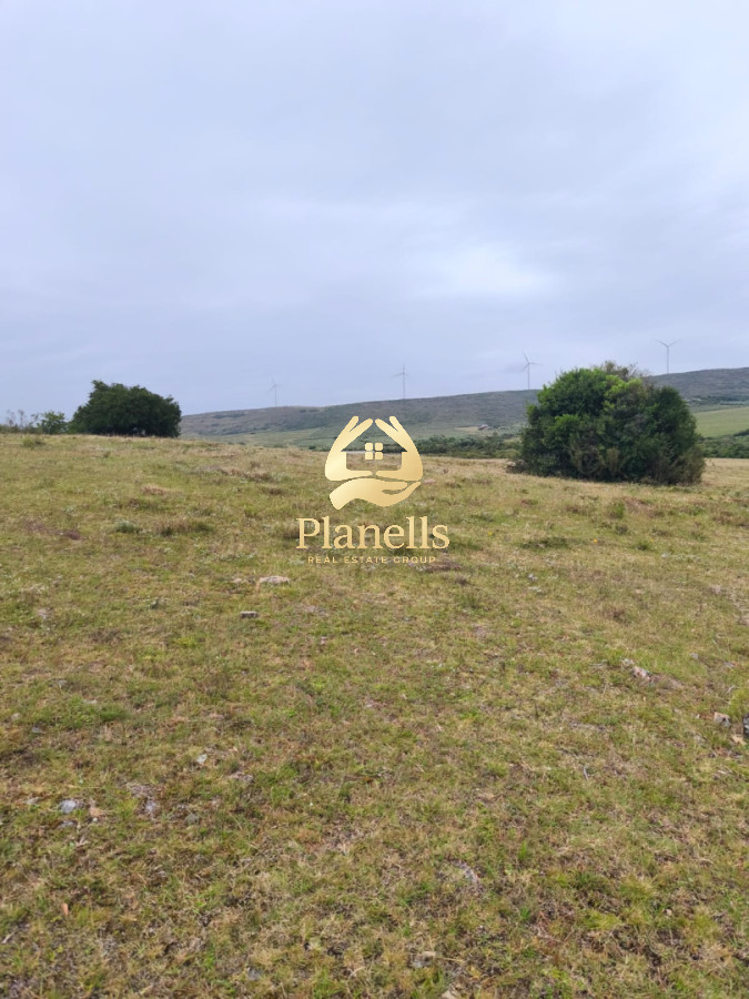 Chacra ID.3724 - Venta de Chacra 6 Ha con casa comoda