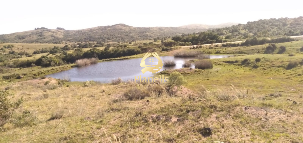 Chacra ID.2597 - Venta de Chacra de 10 Ha en Aigua